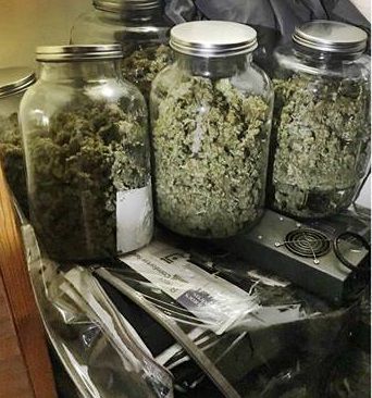 Marijuana seizure (copy)